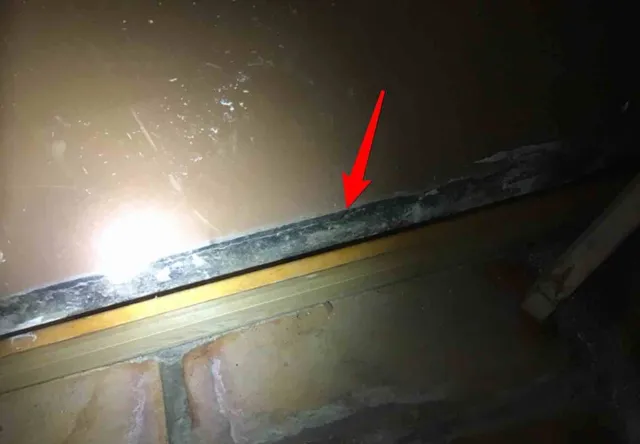 Apparent mold at the base of the walls: photo 1 from a Chicago inspection report