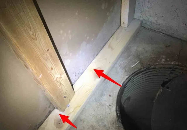 Apparent mold in the sump pit closet: photo 1 from a Chicago inspection report
