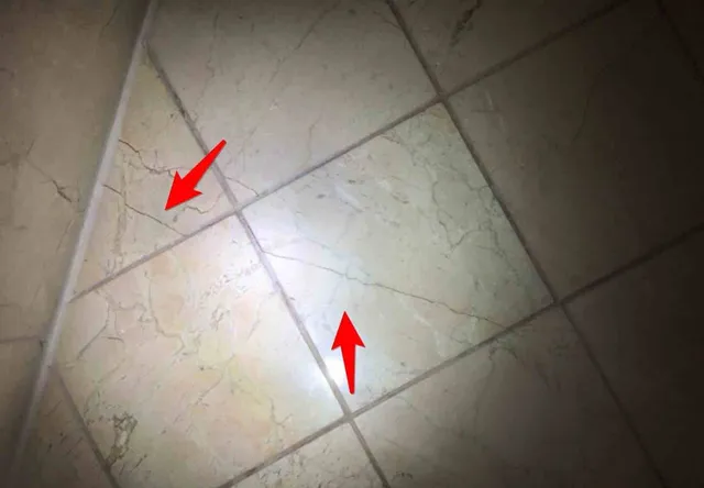 Cracked shower floor tiles: photo 1 from a Chicago inspection report