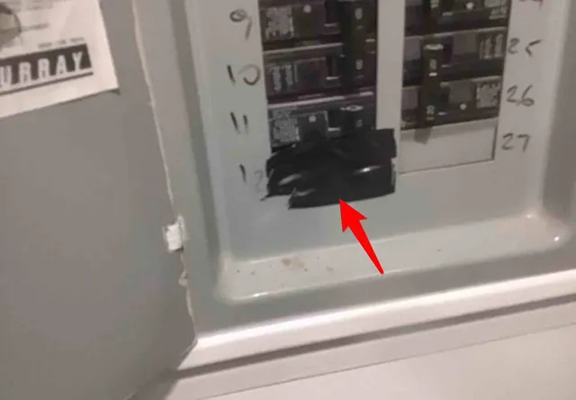 Open hole in the panel cover (shock risk): photo 1 from a Chicago inspection report