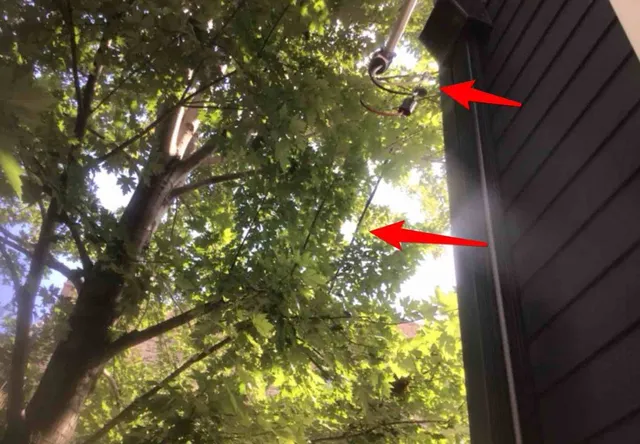 Power lines rubbing on tree branches: photo 1 from a Chicago inspection report