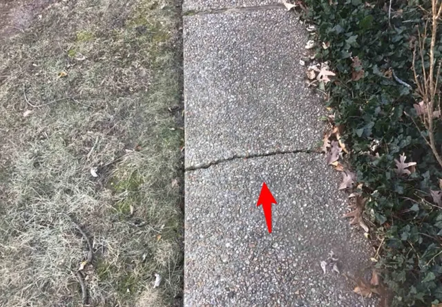 Cracked, uneven walkways (trip hazard): photo 1 from a Chicago inspection report