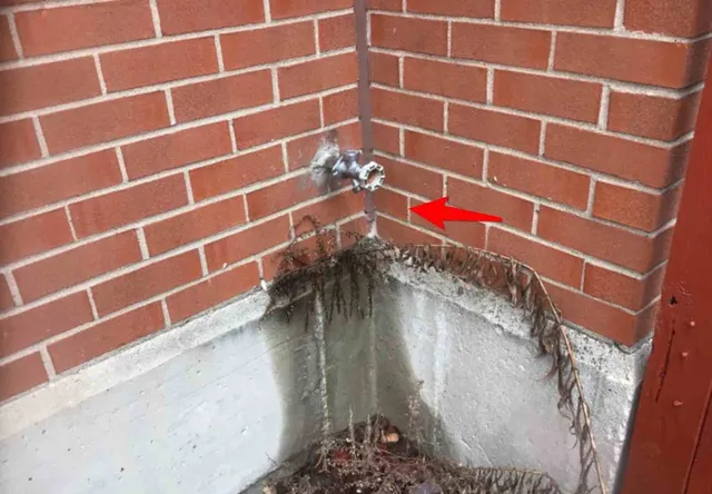 Leaking outdoor faucet: photo 1 from a Chicago inspection report