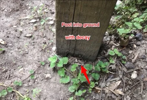 Wood deck posts set directly in soil, with decay at the base