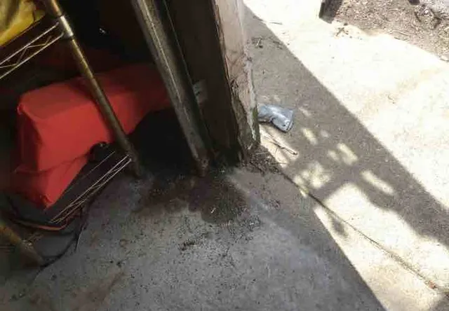 Garage door has no safety sensor: photo 1 from a Chicago inspection report