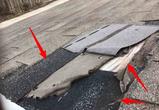 Damaged and missing shingles on the garage roof: photo 1 from a Chicago inspection report