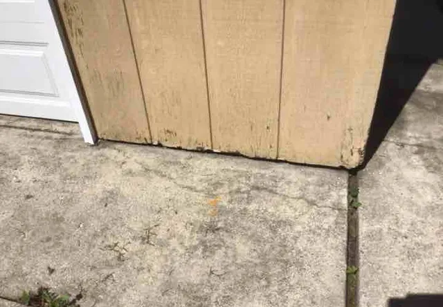 Rotted siding and trim on the garage: photo 1 from a Chicago inspection report