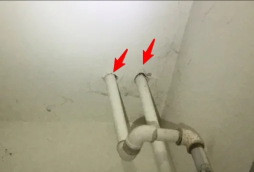 Unsealed gaps where pipes pass through the garage ceiling