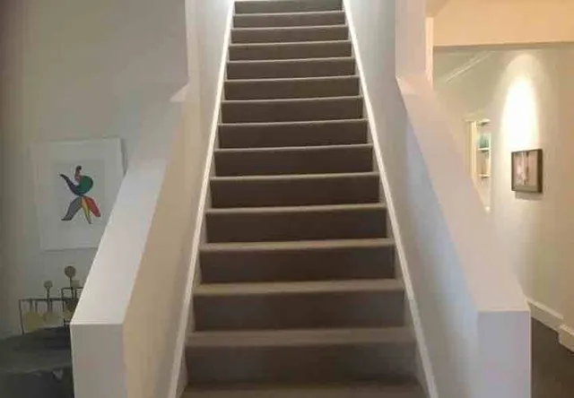 Stairs with no handrail: photo 1 from a Chicago inspection report