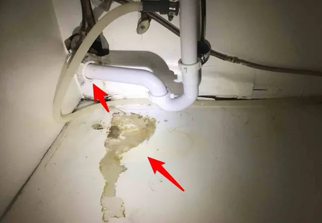Leaking drain under the sink: photo 1 from a Chicago inspection report