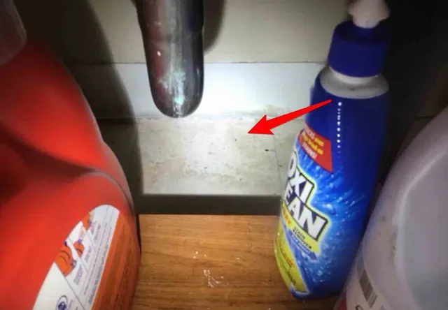 Corroded, previously leaking sink drain: photo 2 from a Chicago inspection report