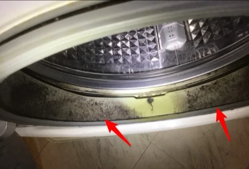 Microbial growth inside a front-loading washer gasket