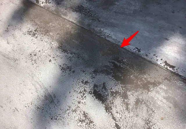 Worn flat roof with standing water: photo 1 from a Chicago inspection report