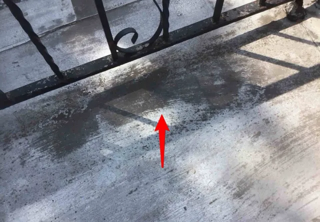 Worn flat roof with standing water: photo 2 from a Chicago inspection report