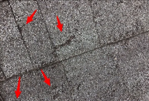 Worn, damaged asphalt shingles at the end of their useful life (photo 2)